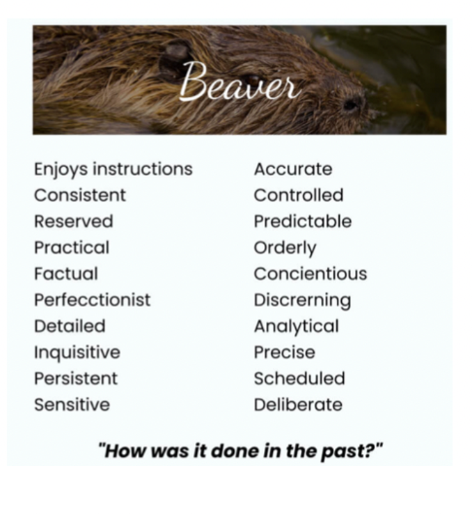 Beaver